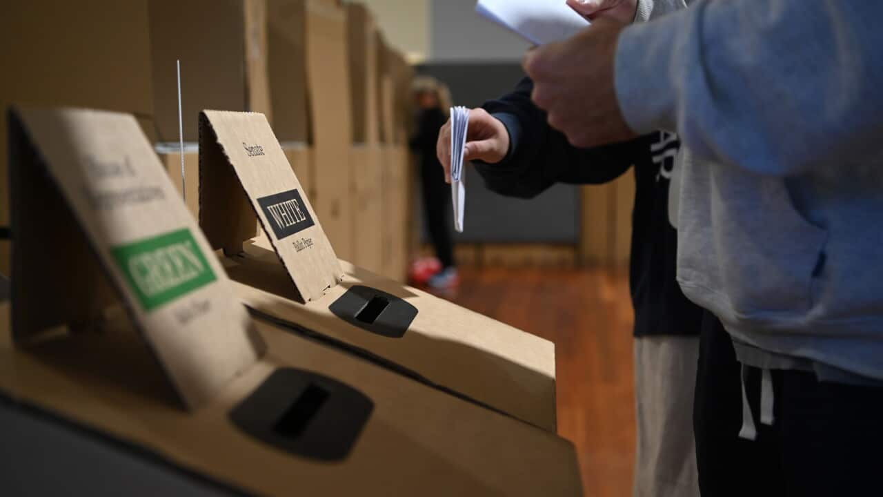 How an election is called and what happens afterwards | SBS News