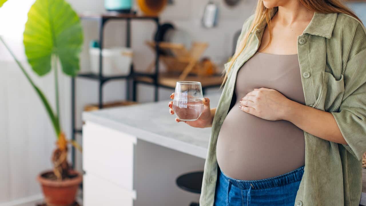 An unrecognizable pregnant woman drinks vitamins and hydrates herself while standing at the kitchen counter in a modern apartment