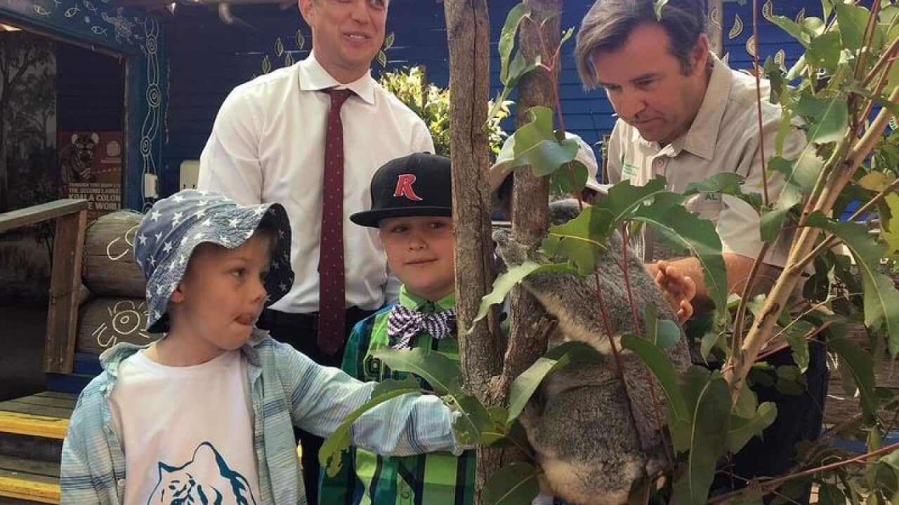 Image for read more article ''