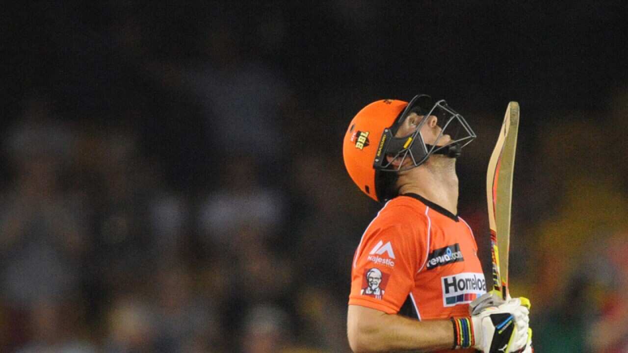 Mitch Marsh of the Perth Scorchers