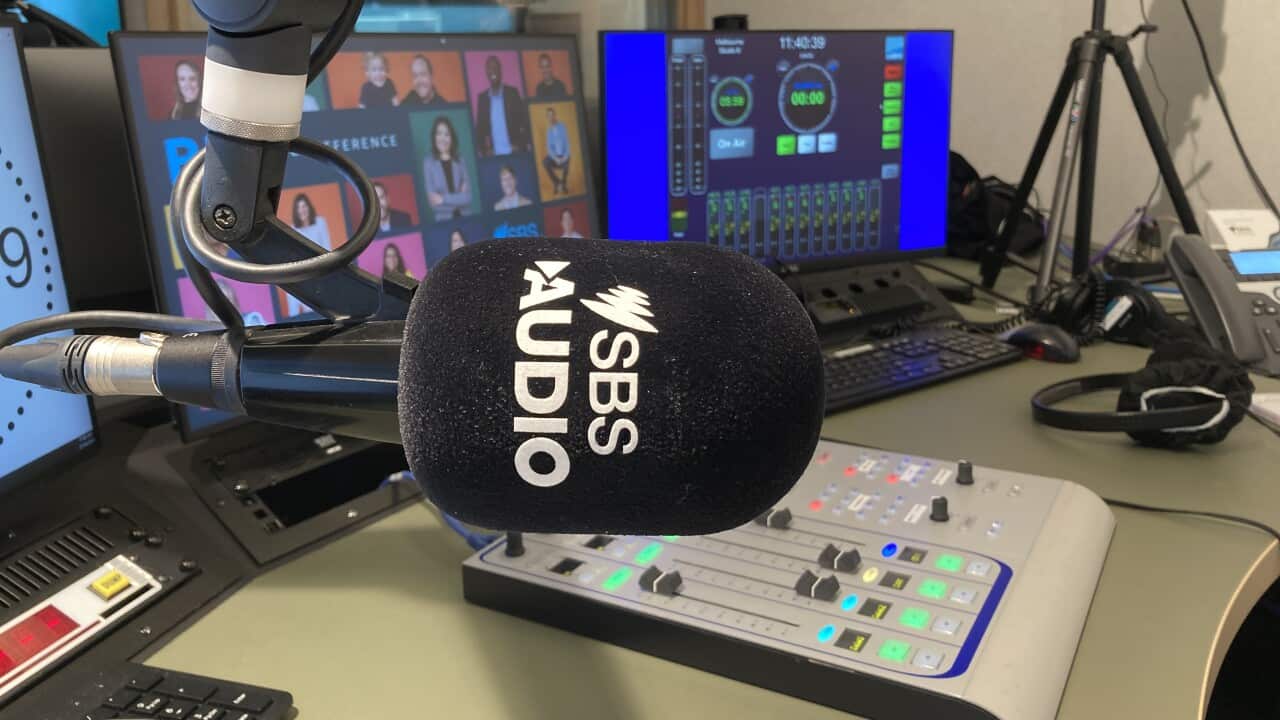 SBS Maltese Program 24 November 2023 12pm SBS Maltese