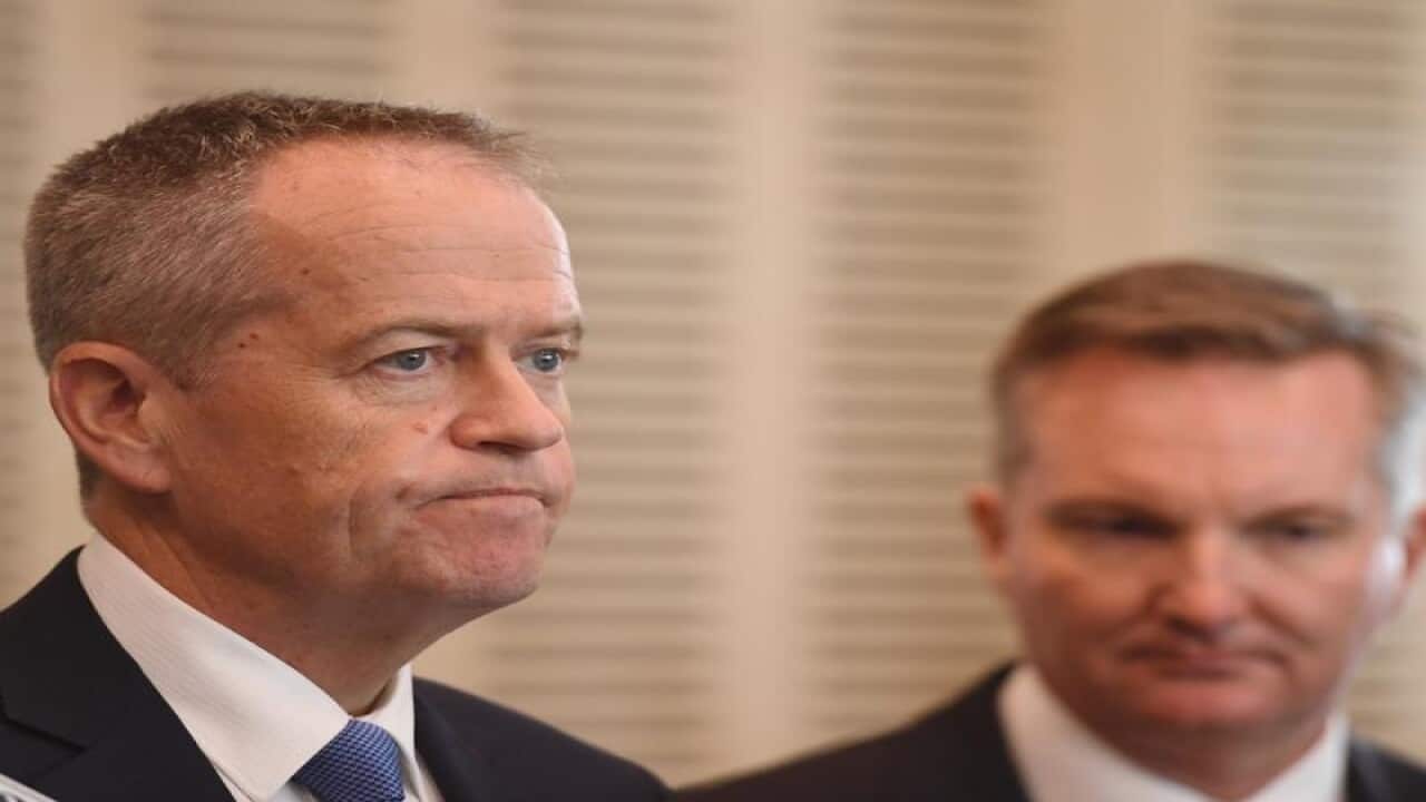 Labor leader Bill Shorten (left) and Shadow Treasurer Chris Bowen