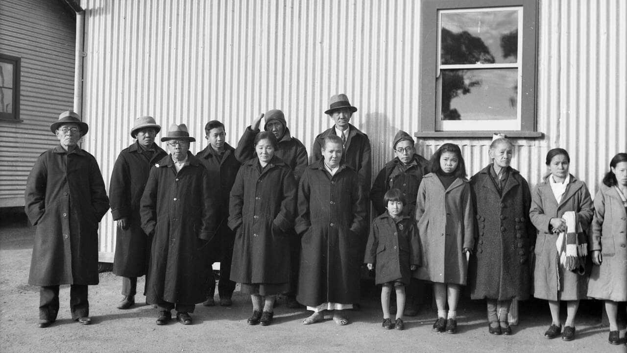 Bridging cultures: Why Australia-Japan history looms large for some Voice voters - Vimarsana News