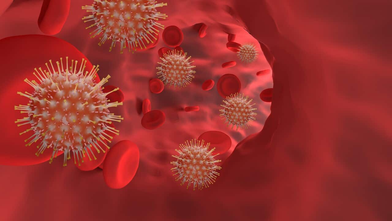 Why the new Covid-19 strain more dangerous than the original virus?