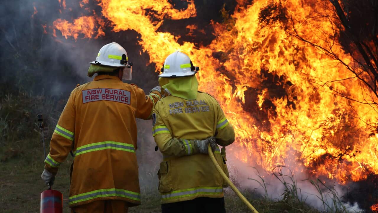 Image for read more article ''