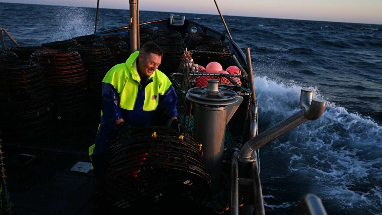 KING ISLAND CRAYFISHING