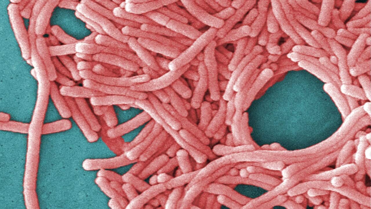 Legionnaires Disease