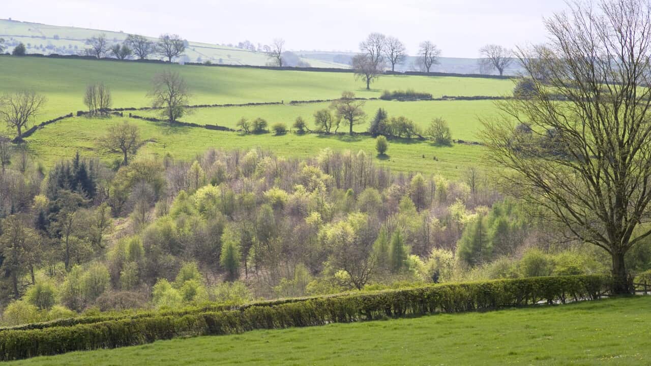 Upland Pasture and Woodland (AAP/Mary Evans/Ardea/Geoff du Feu)
