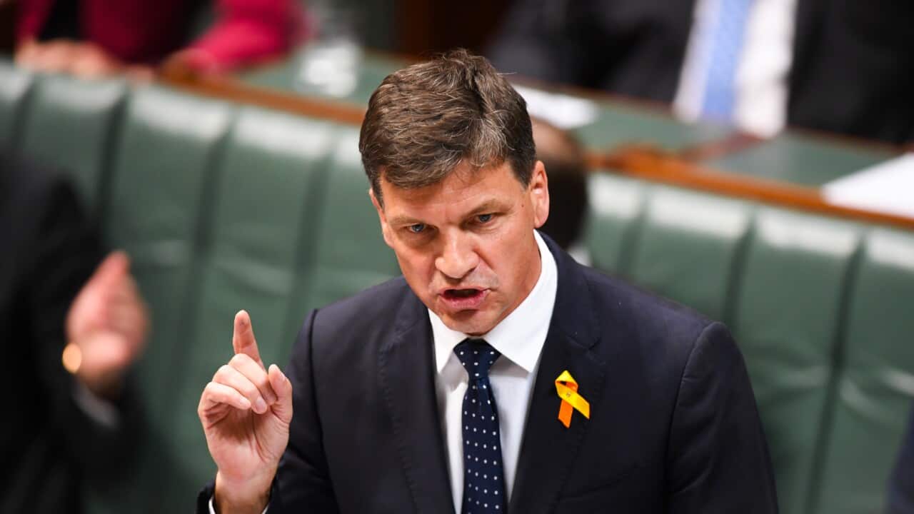 Australian Energy Minister Angus Taylor speaks during House of Representatives Question Time at Parliament House in Canberra, Tuesday, September 10, 2019. (AAP Image/Lukas Coch) NO ARCHIVING