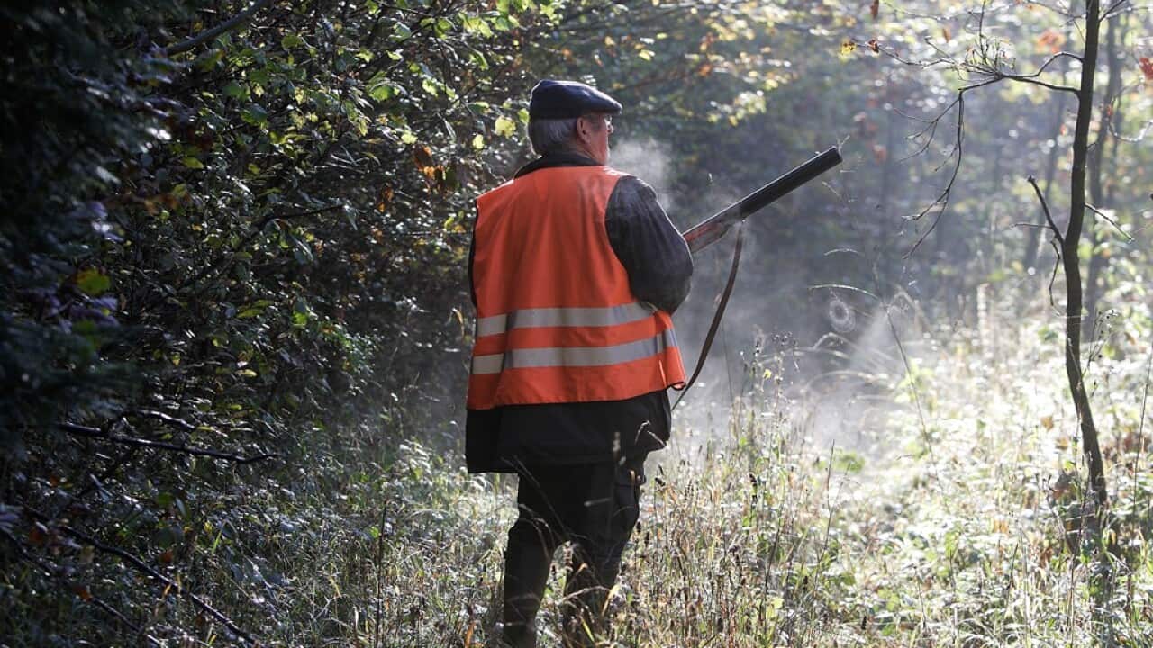 Hunter with gun watching for game