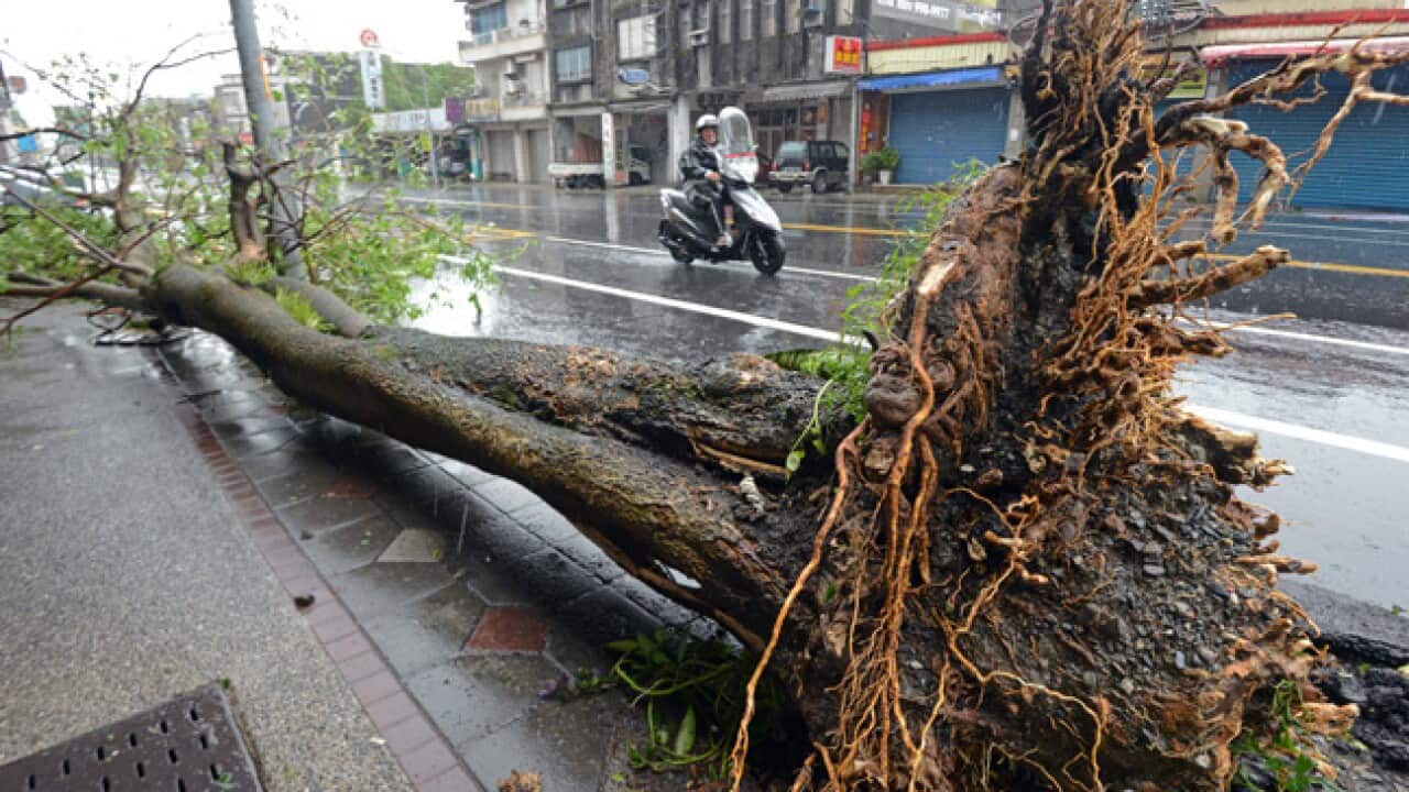 taiwan_typhoon_getty_130713_b_320793795