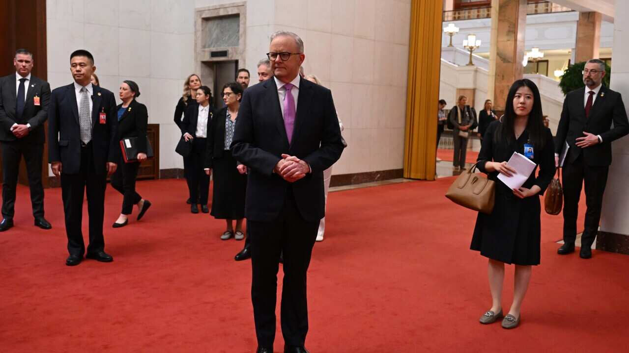Anthony Albanese, wearing a dark suit, stands in a red-carpeted hall surrounded by various formally dressed people.
