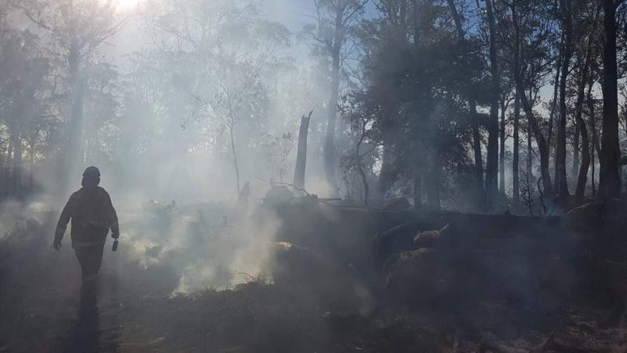 A large bushfire burning in Tasmania.