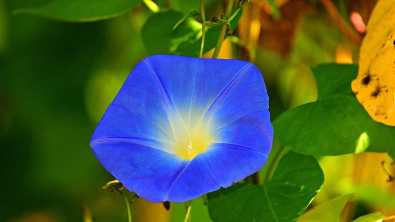 Image for read more article ''