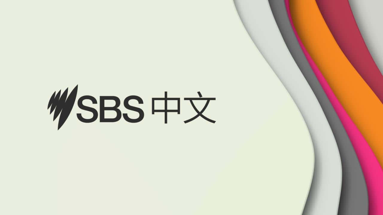 SBSChinese_Facebook_Header.jpg