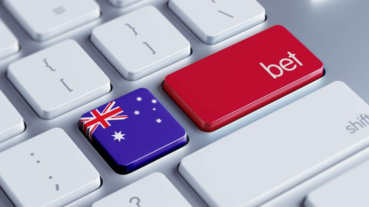 New resources to address gambling harm in migrant communities.