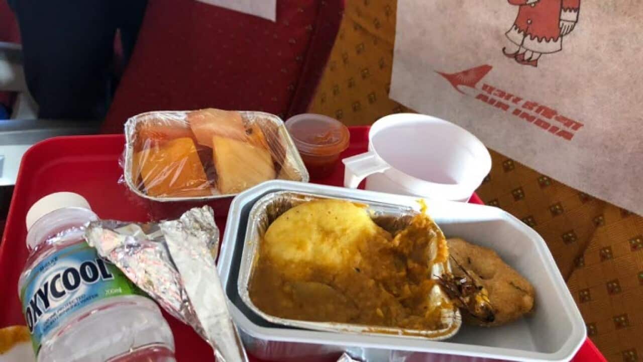 cockroach in mid-air meal