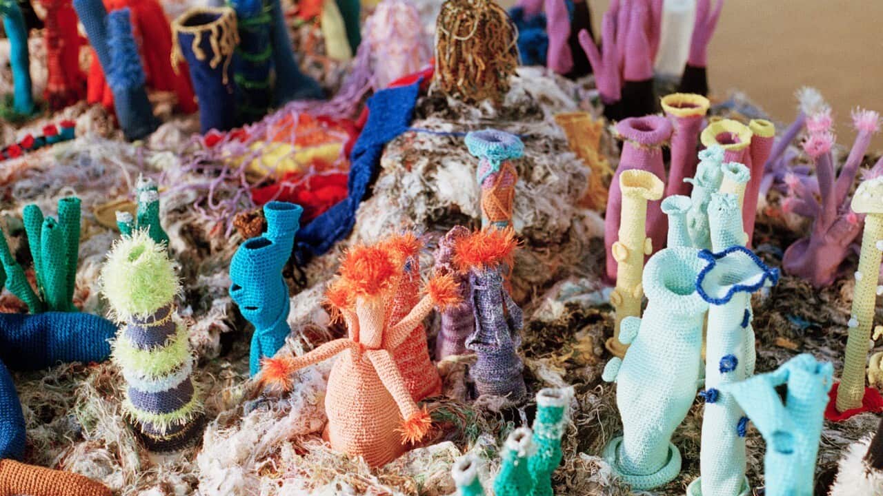 The Lady Musgrave Reef, 2002–2019 Petra Maitz