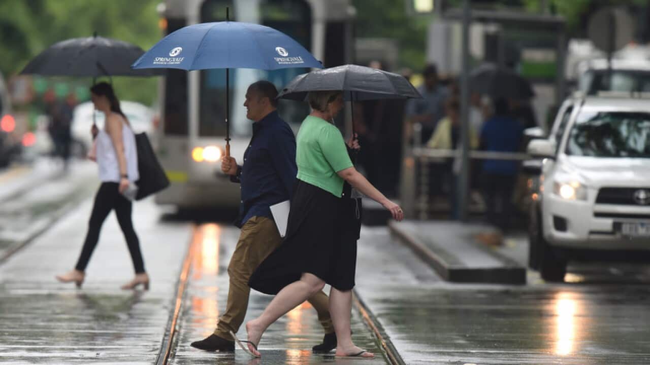 City workers in the rain as wild weather is due to hit  Melbourne, Friday, December 1, 2017