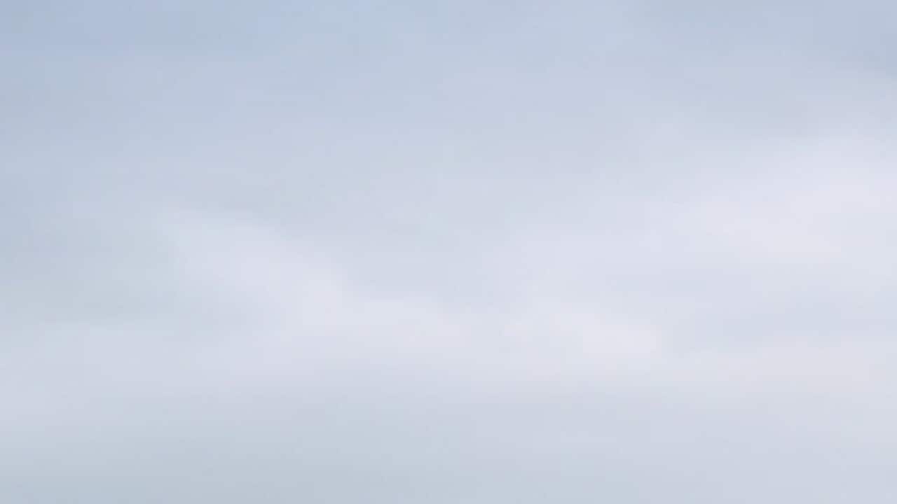Migrants and refugees walk to Pazarkule Border gate in Turkey as they try to reach Greece