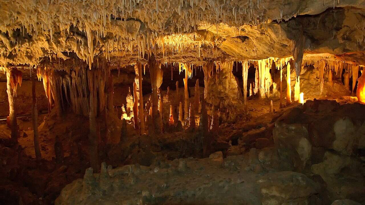 Naracoorte-cave.jpg