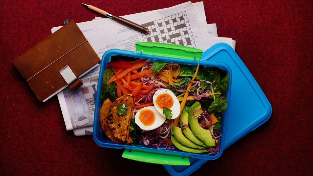 Phyto Burst Lunchbox