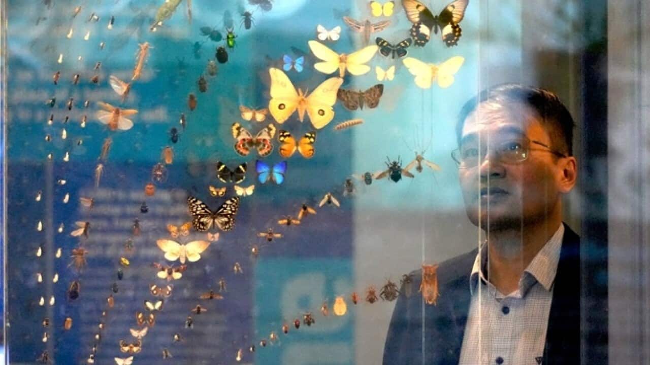 Minh Bui main photo.jpg