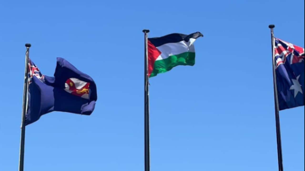 A row of three flags flying in the blue sky from left: the NSW flag, the Palestinian flag and the Australian flag.