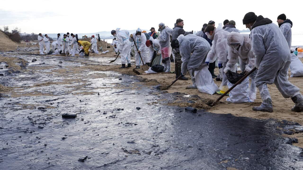 Russia: Oil spill clean-up of Anapa beaches