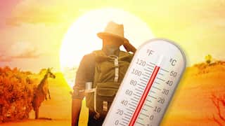 A thermometer reaches its peak in front of a sweltering outback scene with a kangaroo and a man with an Akubra