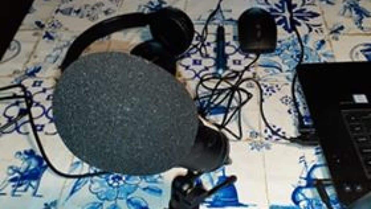 dutch newsbulletin 22 auf 2020
