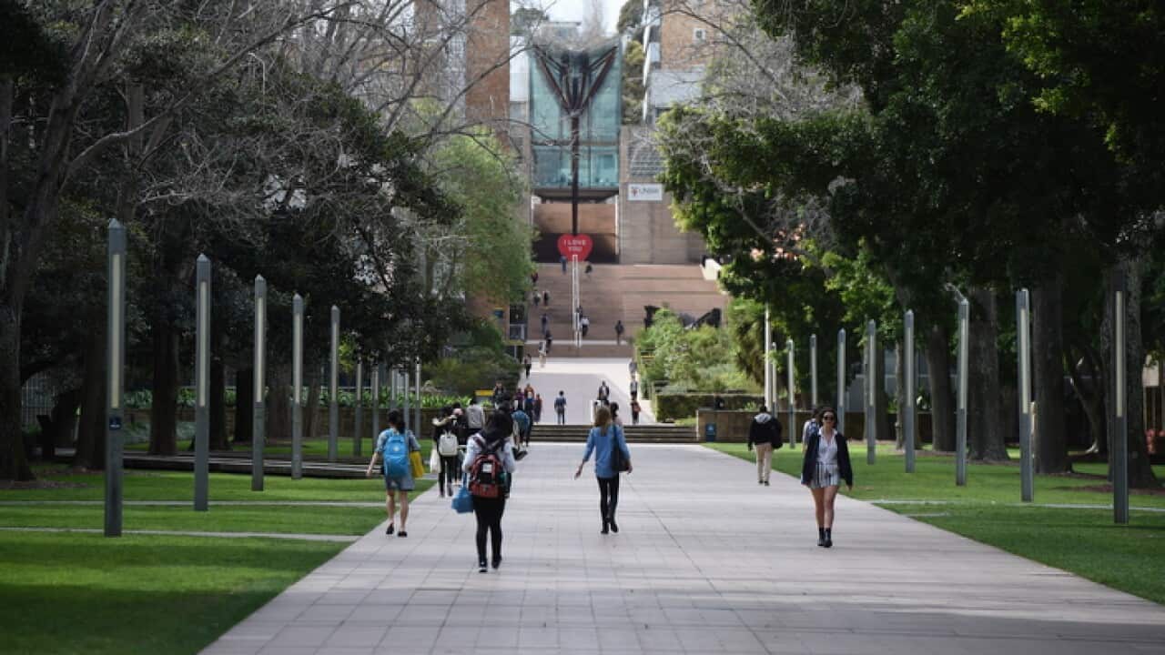 Census reveals Australia's growing linguistic diversity
