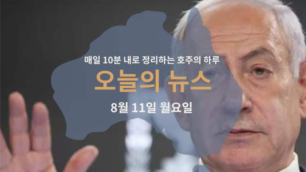 060825 (1) 1.png