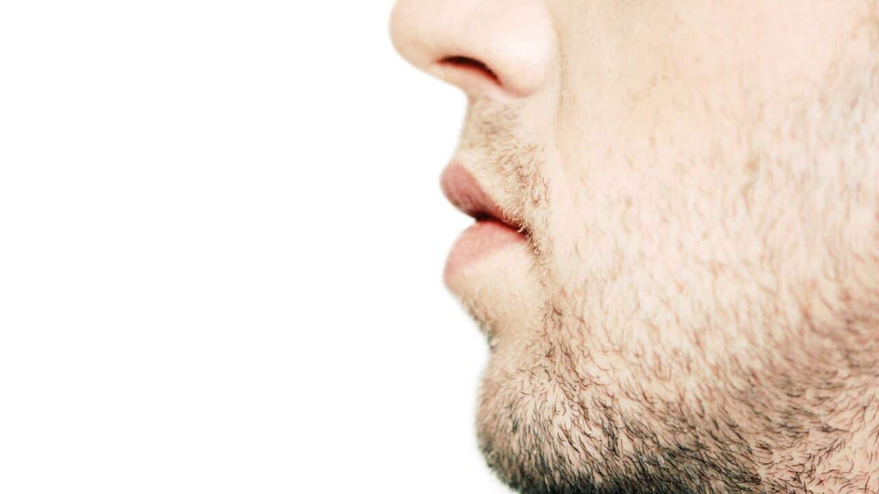 Nose