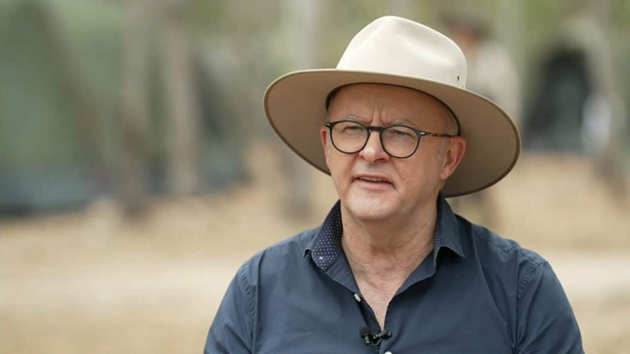 Prime Minister Anthony Albanese at Garma Festival 2024 - August 3, 2024 - NITV .jpg