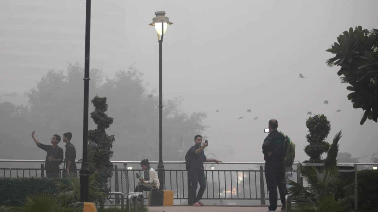 Indians take selfies at a public park enveloped by thick smog in New Delhi, India, Saturday, Nov. 5, 2016. 