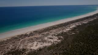 An aerial view of a beach