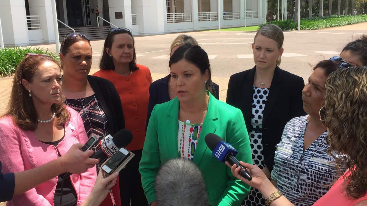 NT Labor MP Natasha Fyles speaks to the media, calling for the resignation of Attorney-General John Elferink.