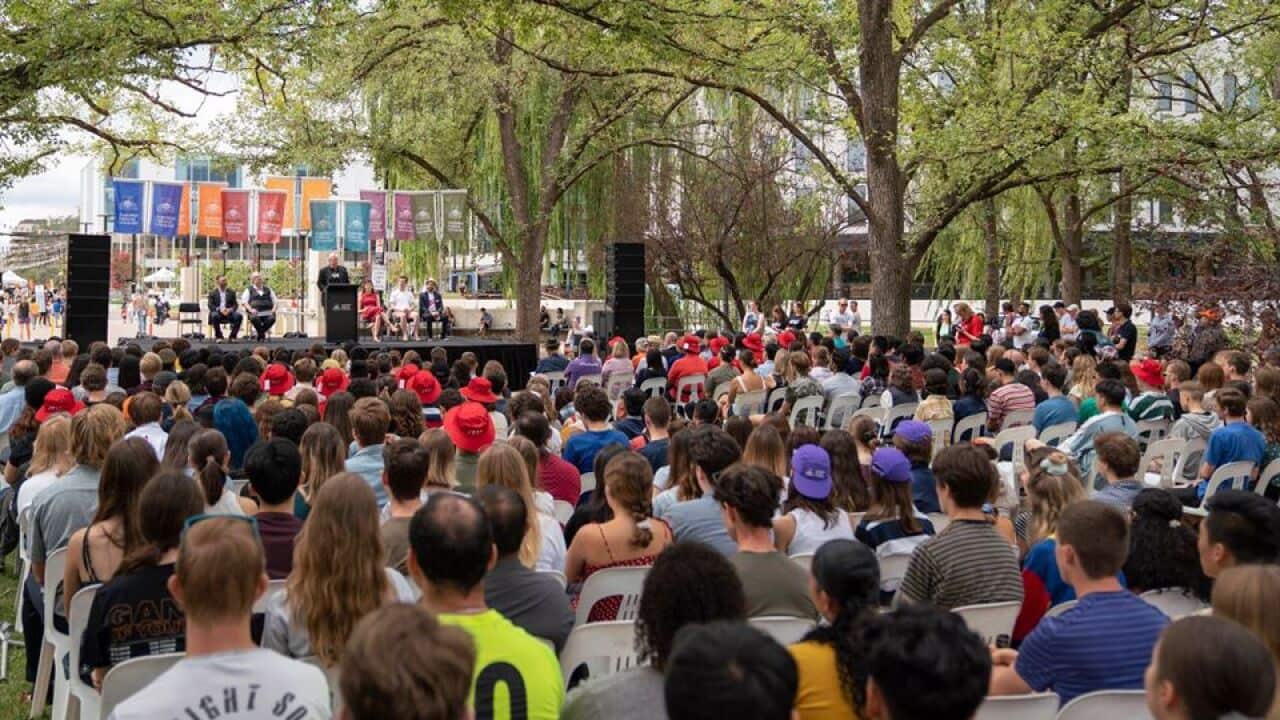 Image for read more article 'READ MORE'