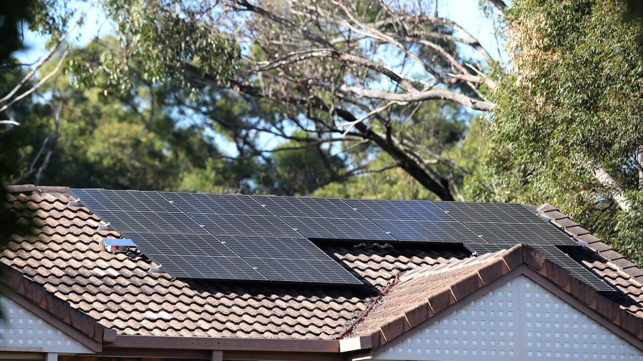 ELECTRICITY STOCK QUEENSLAND