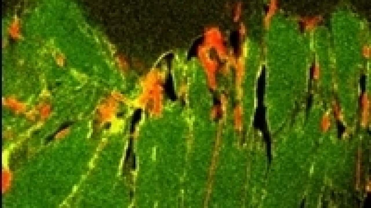 Image for read more article ''