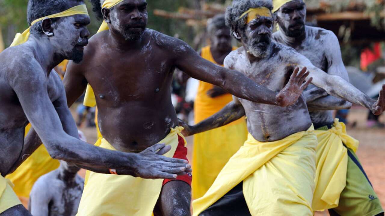 Galarrwuy Yunpinga's family group the Gumatj dancers in action at GARMA Festival in Arnhem Land, NT (David Sproule)
