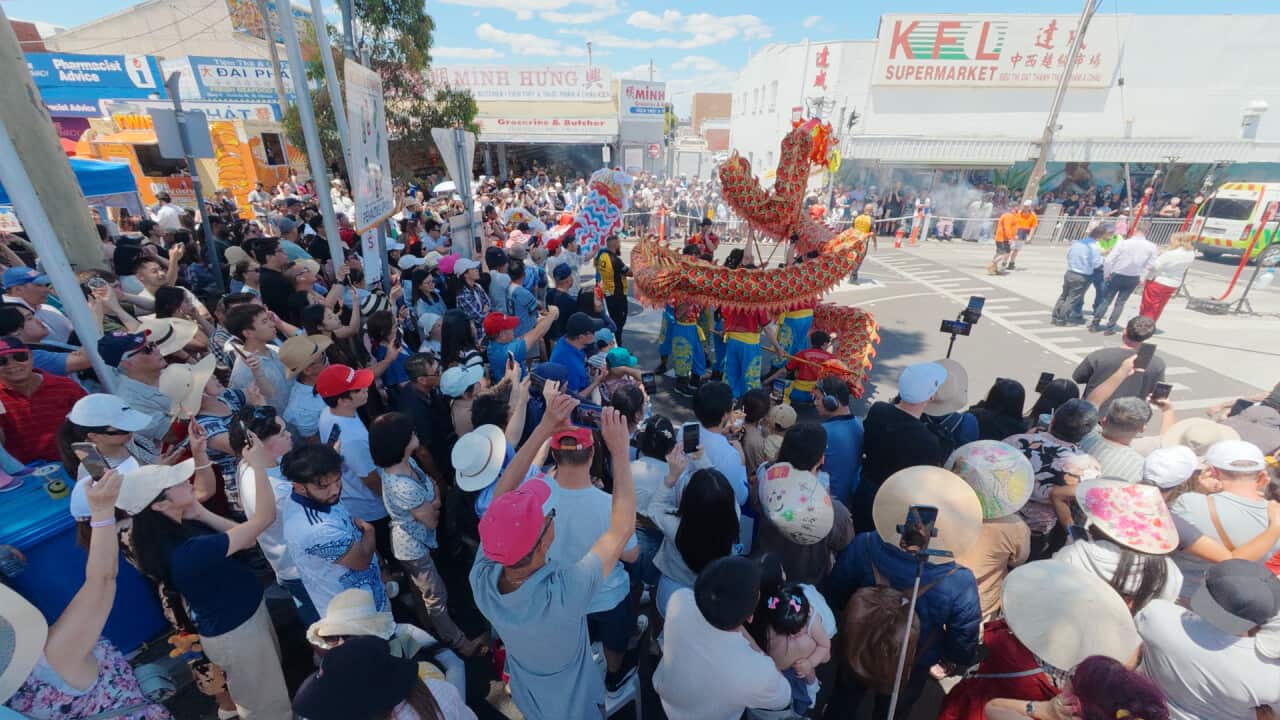 Still 2026-01-18 192058_1.1.1.png