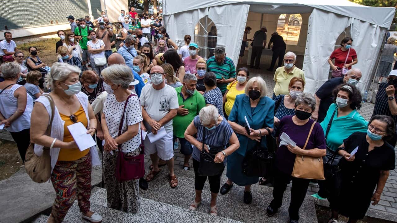 Homeland news in Macedonian, Australian Macedonian Community,