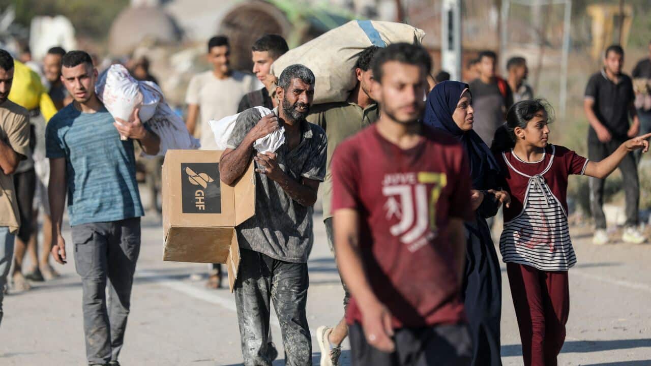 Palestinians Carry Collected Tree Branches and Scrap Wood - Gaza