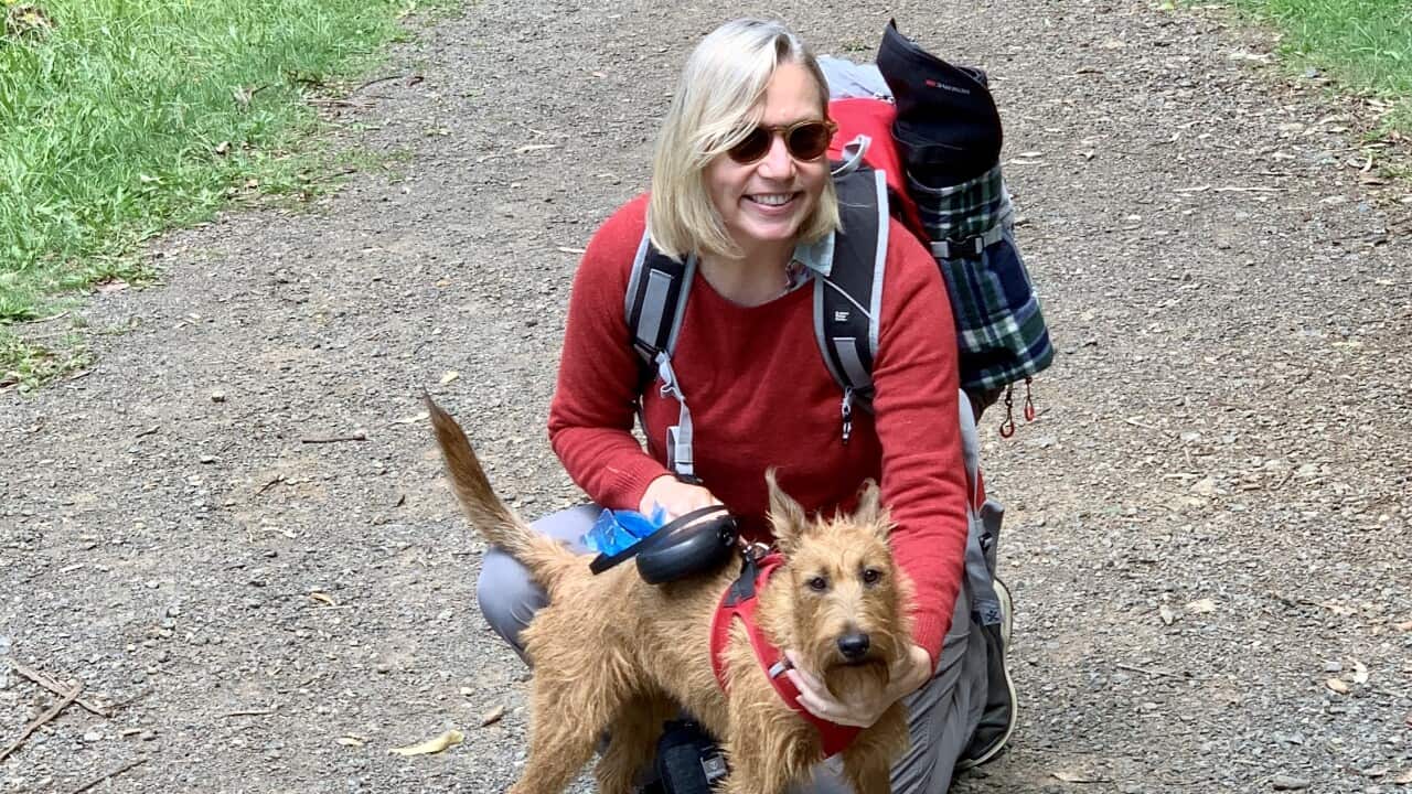 Ute Wegmann und Laika beim Wandern in den Dandenongs