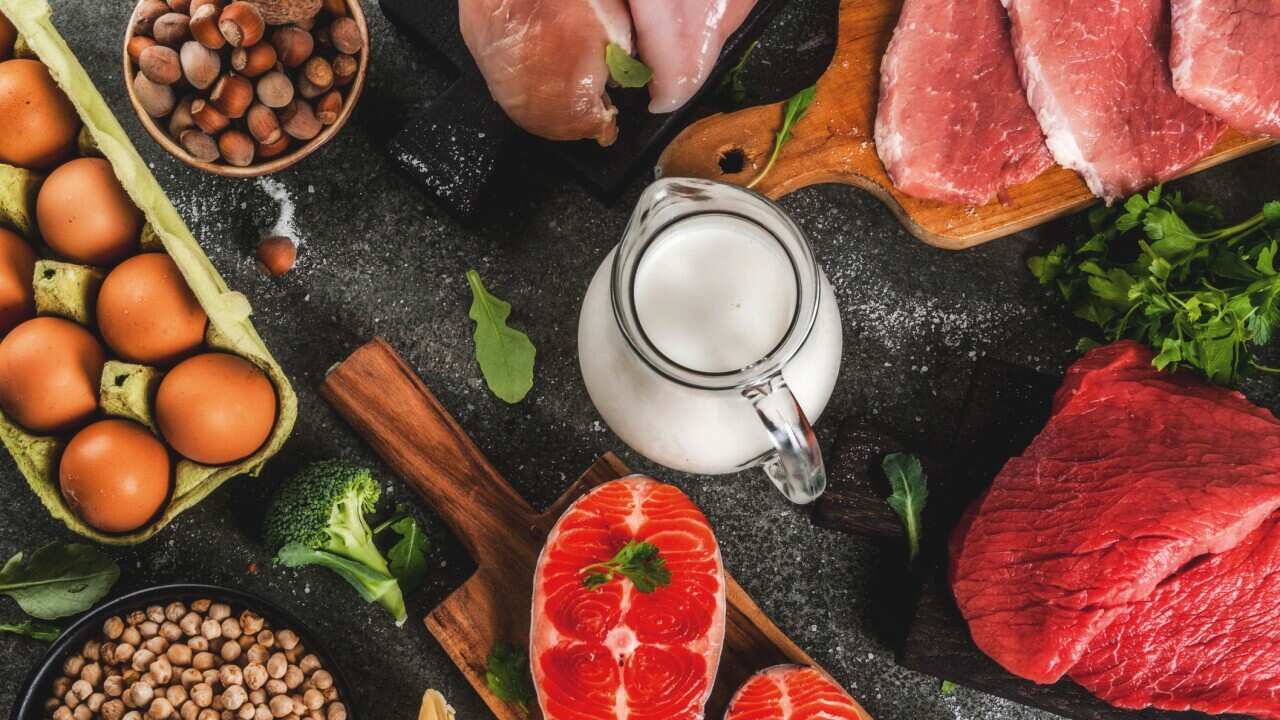 Selection of protein sources food