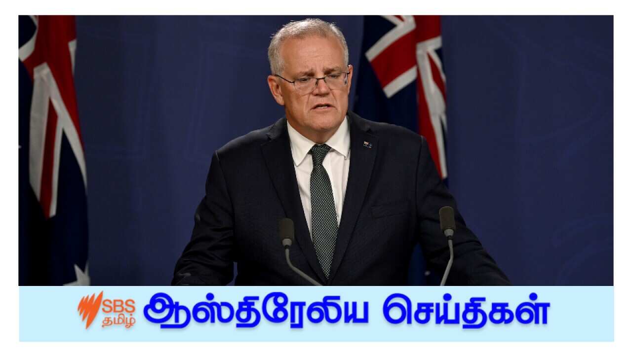 News and Current affairs