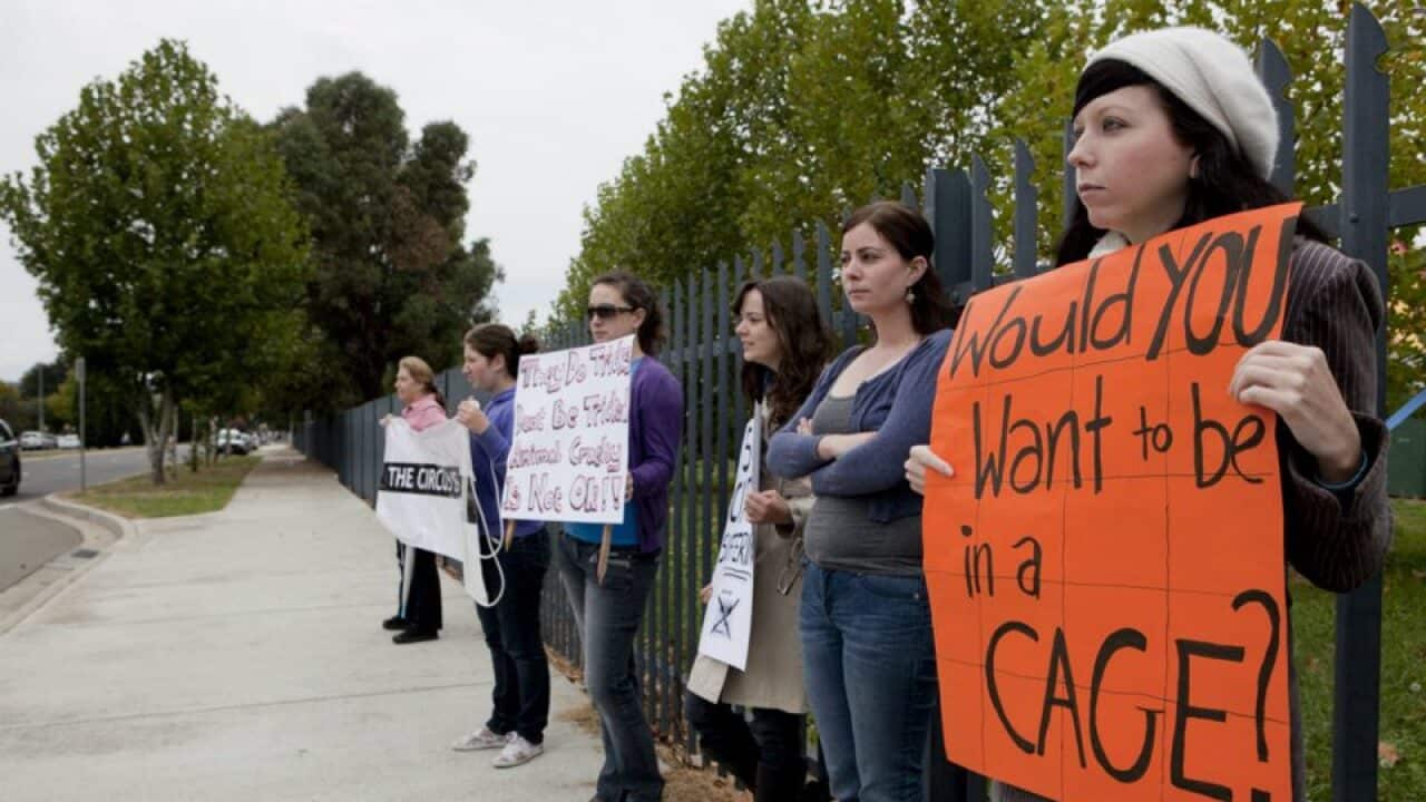 Image for read more article 'READ MORE'