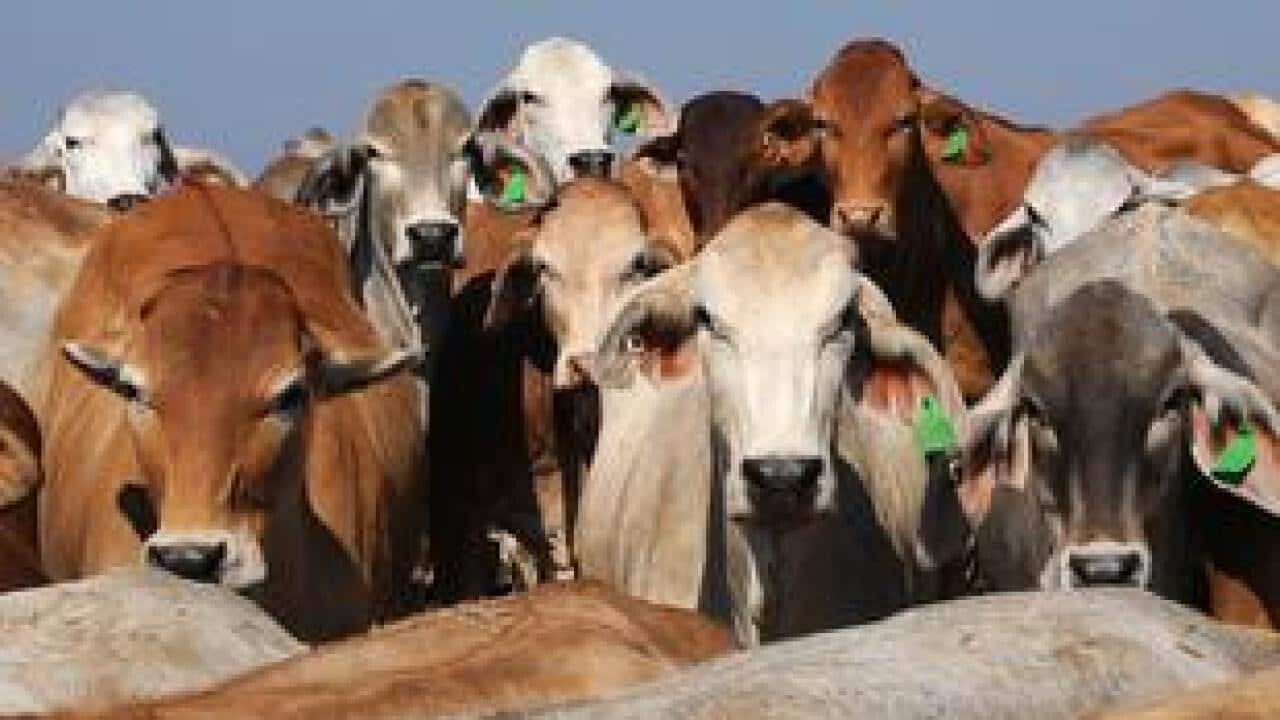 Image for read more article 'RECOMMENDED READING:'